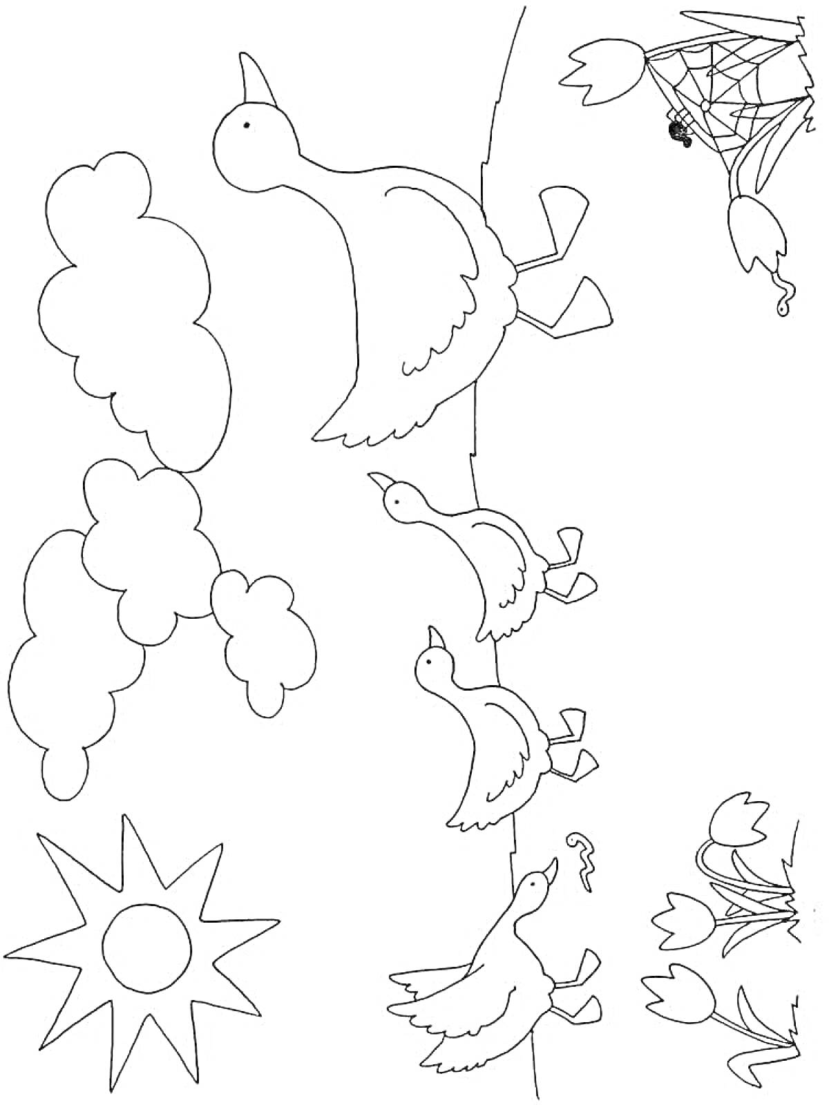 На раскраске изображено: Утка, Солнце, Облака, Цветы, Паутина, Муха, Природа