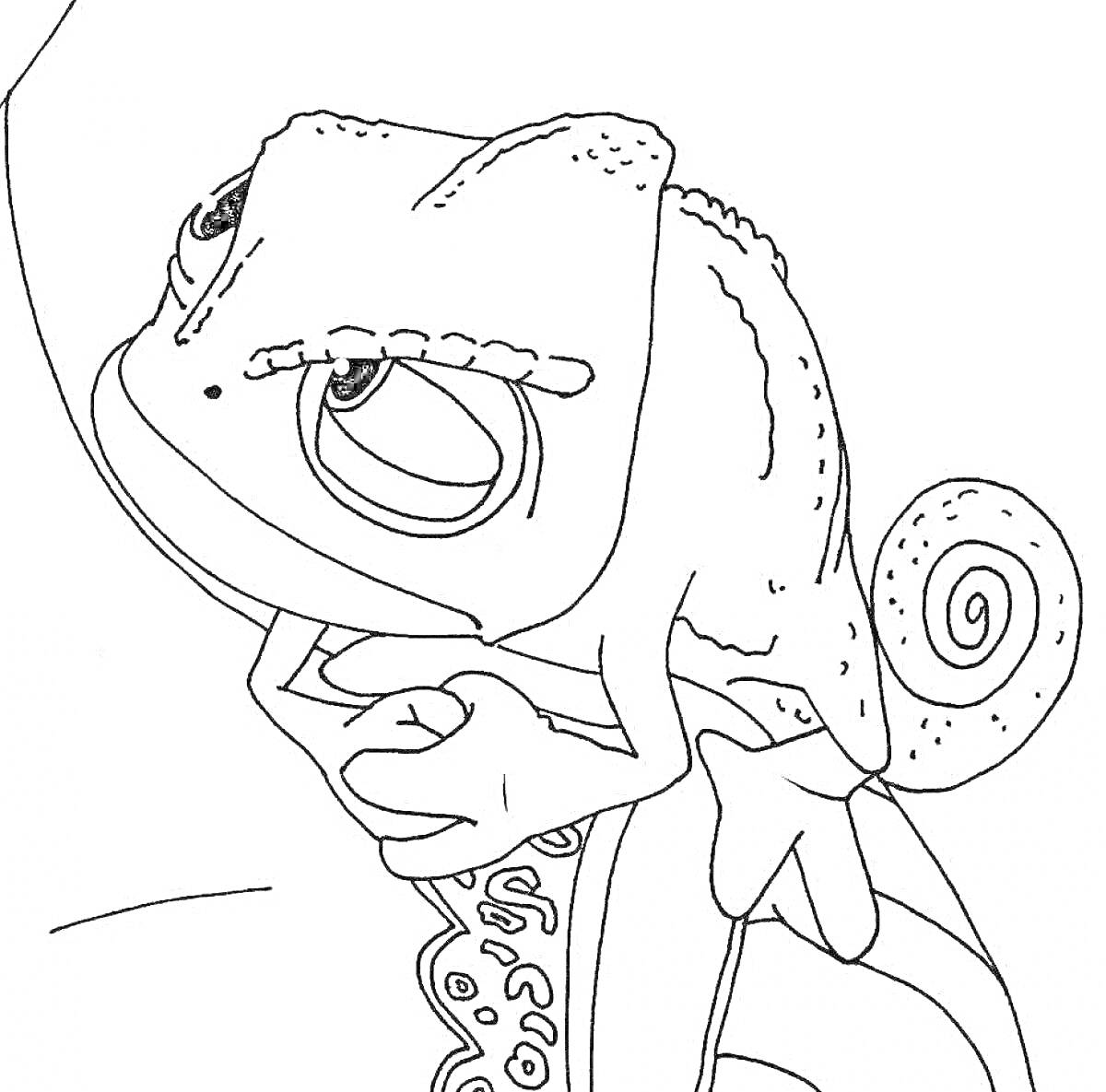 Раскраска Хамелеон Паскаль из мультфильма, сидящий на руке