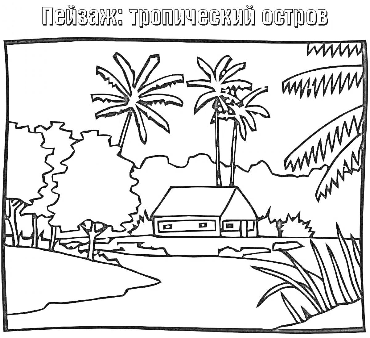 Раскраска Тропический остров с деревянным домом, пальмами, деревьями, камнями и растительностью на берегу