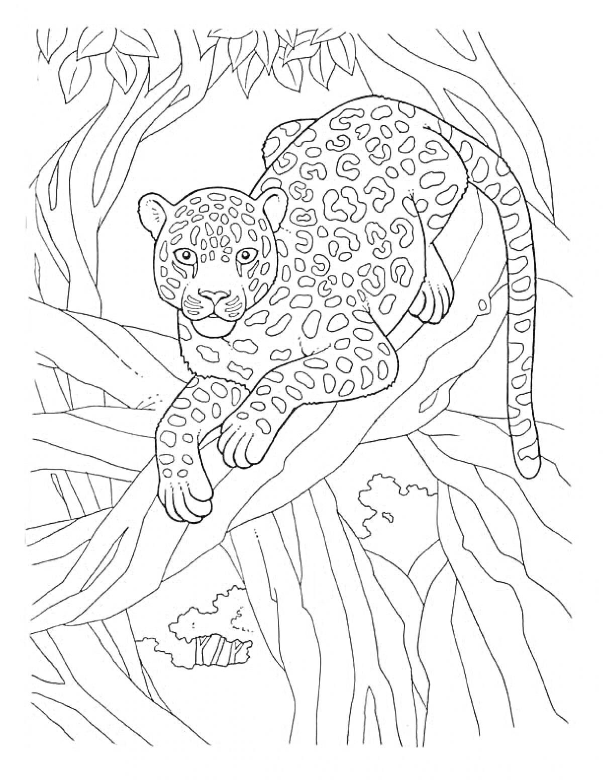 Раскраска Ягуар на ветке в джунглях с листьями и кустами на заднем плане