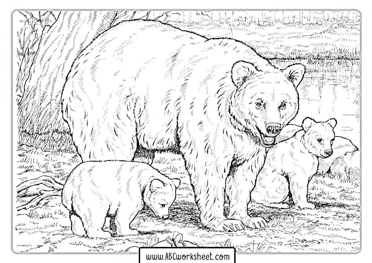 Раскраска Бурый медведь с двумя медвежатами на берегу озера рядом с деревом