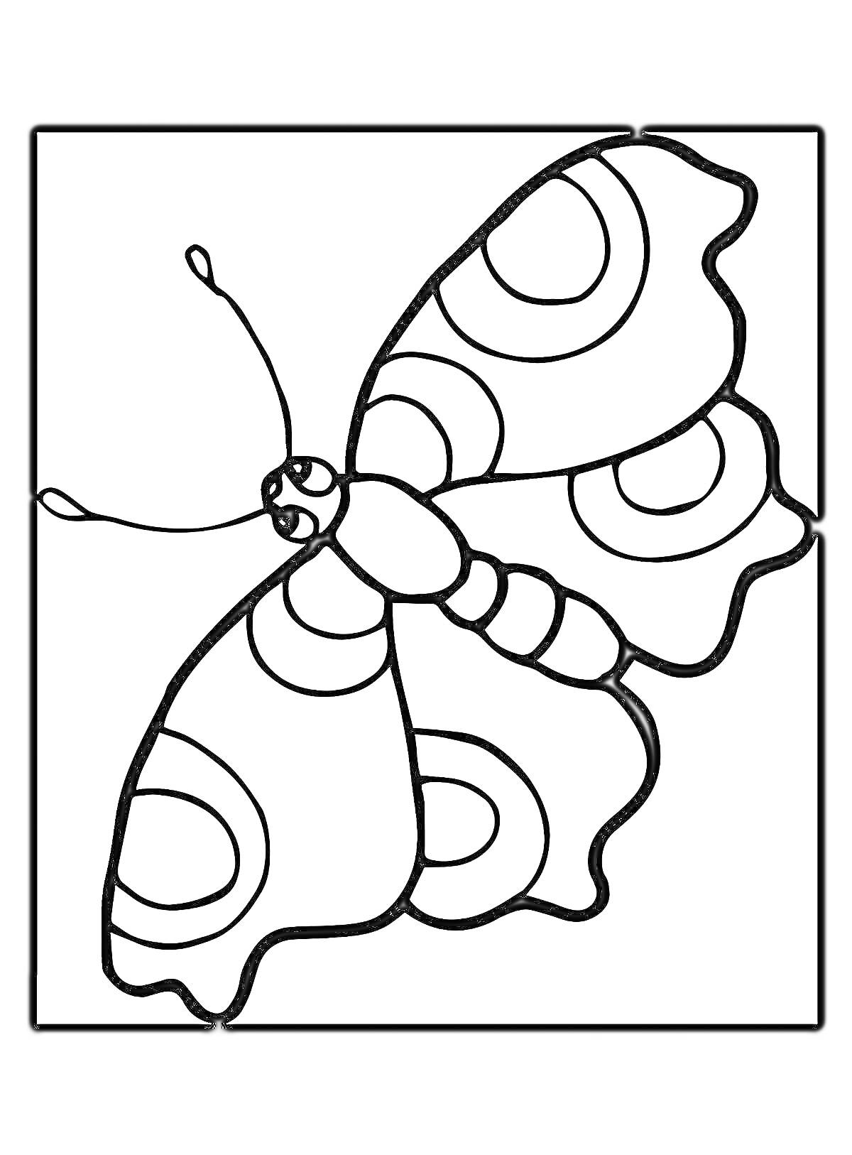Раскраска Бабочка с узорными крыльями