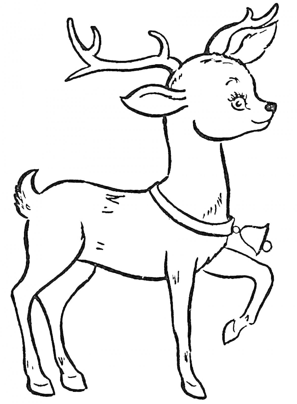 Раскраска Новогодний олень с колокольчиком на шее