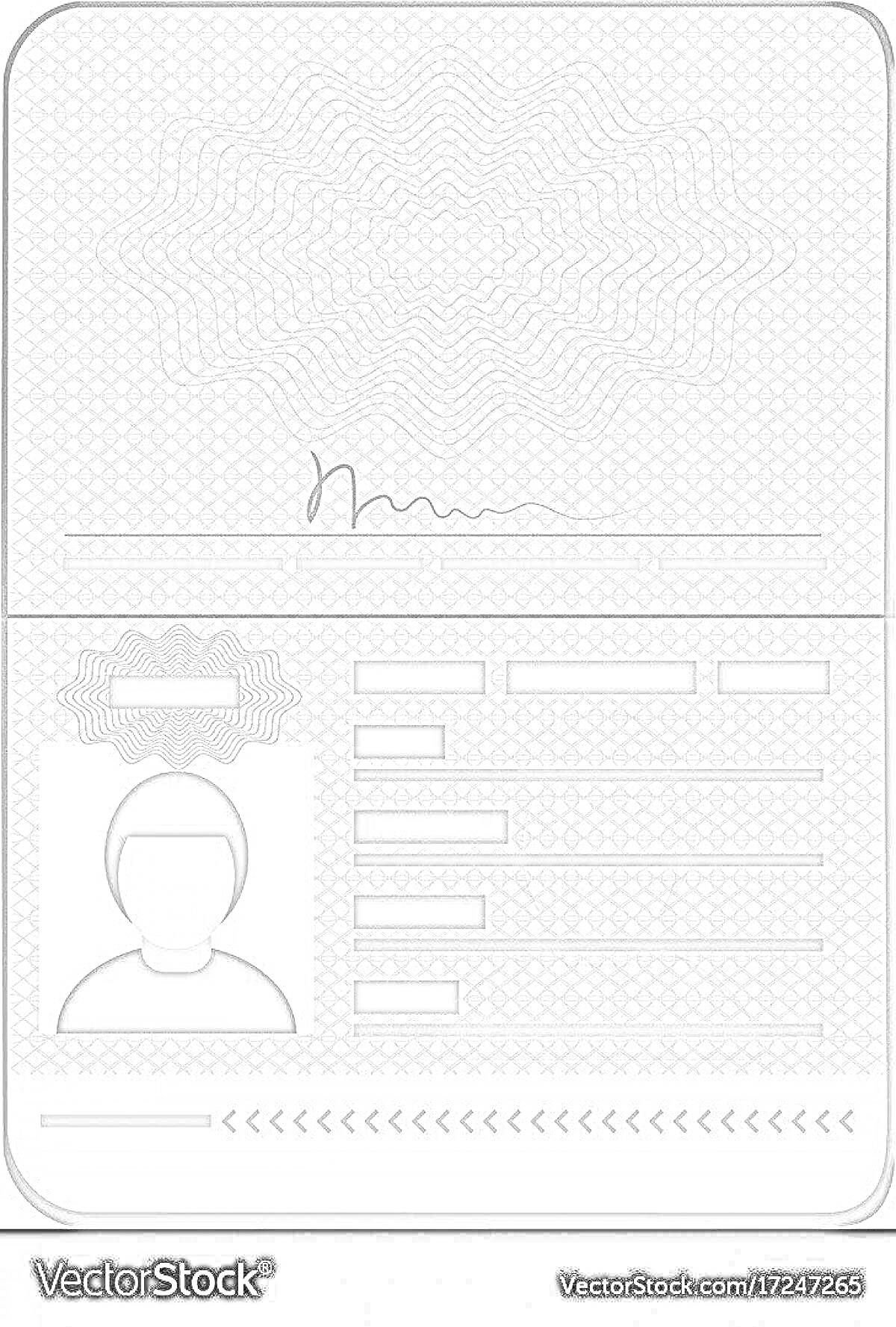 Раскраска Раскраска паспорта с фотографией, текстовыми полями и подписью