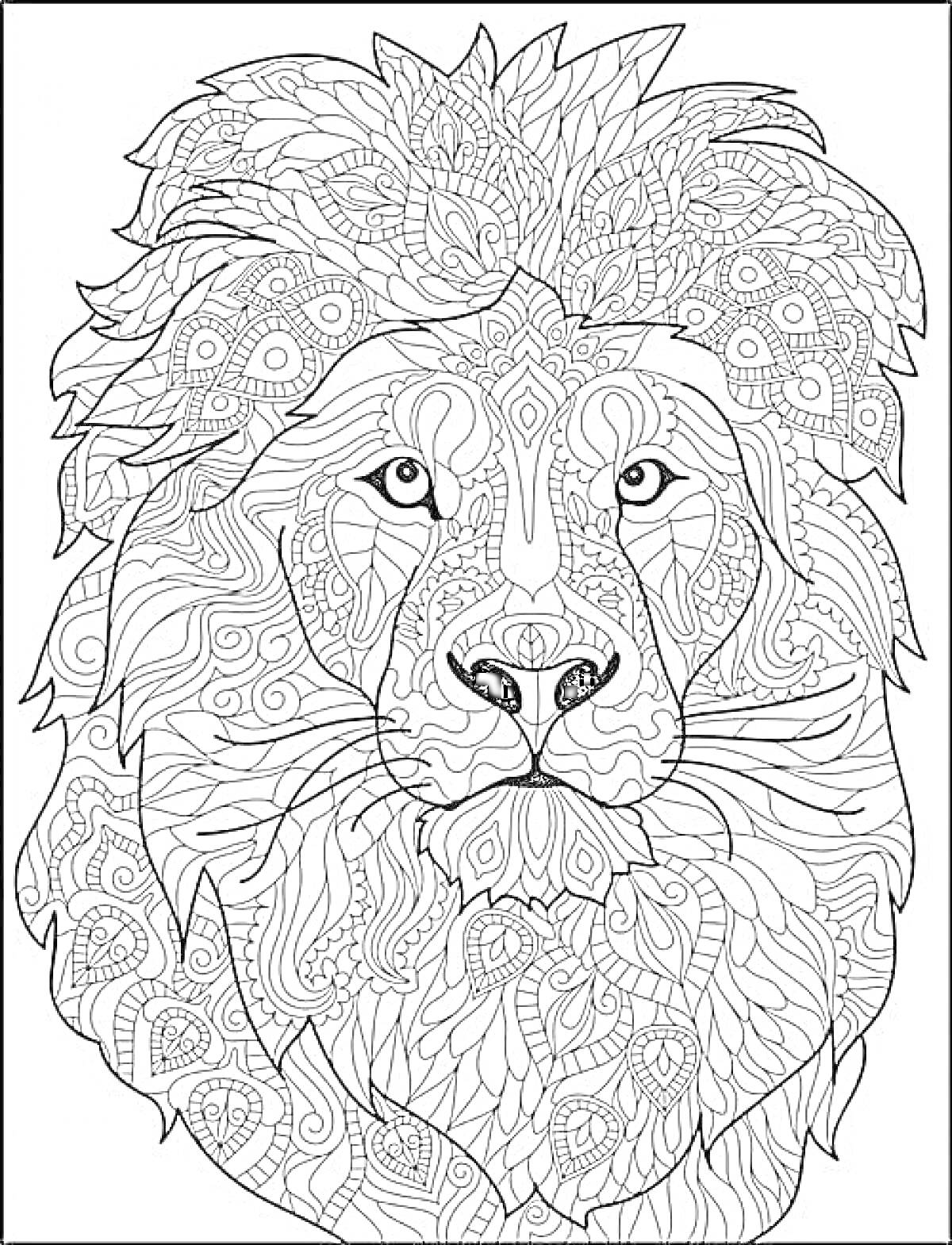 Раскраска Лев с орнаментами, узоры, листья, цветы, линии