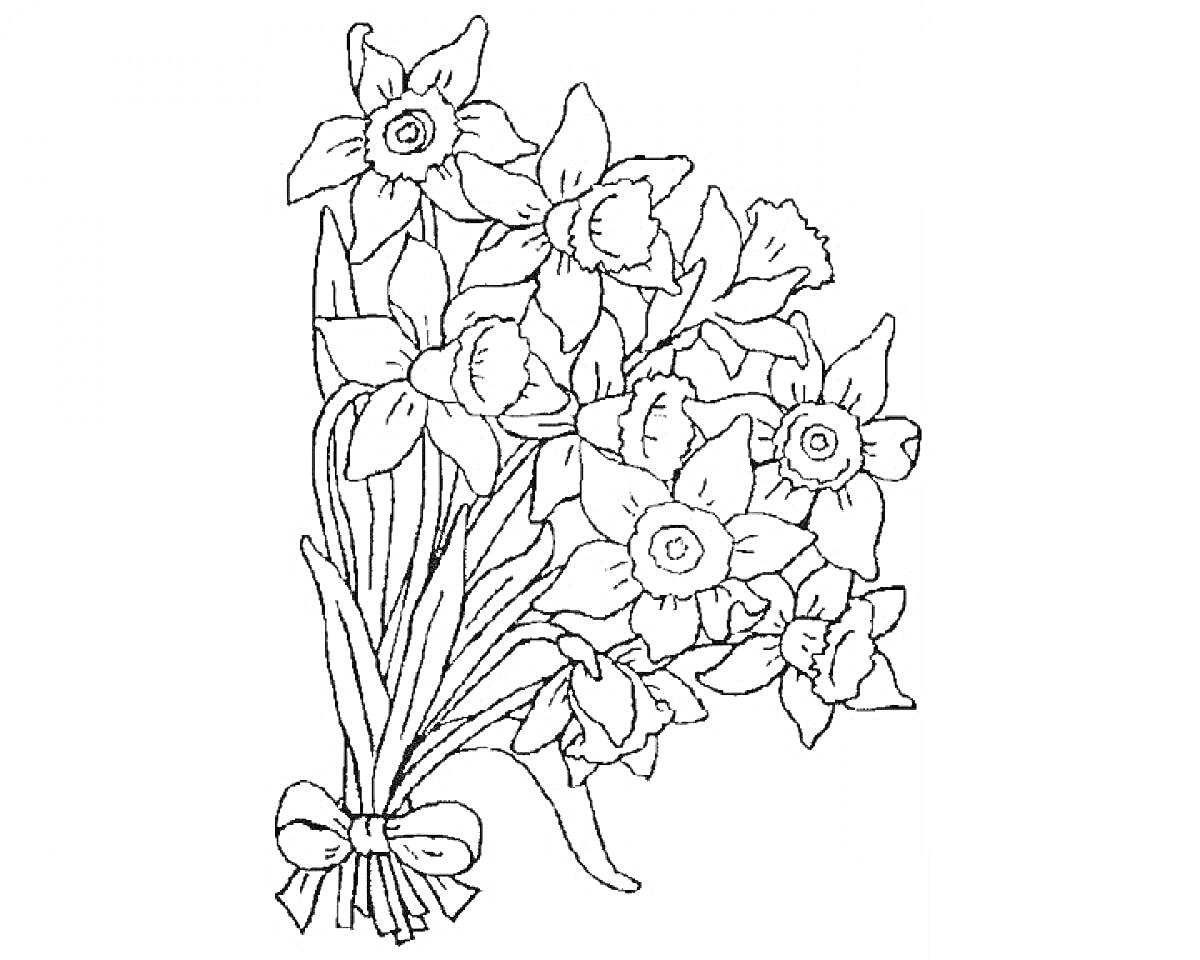 На раскраске изображено: Нарциссы, Цветы, Бант, Весна, Растения, Букет цветов, Контурные рисунки
