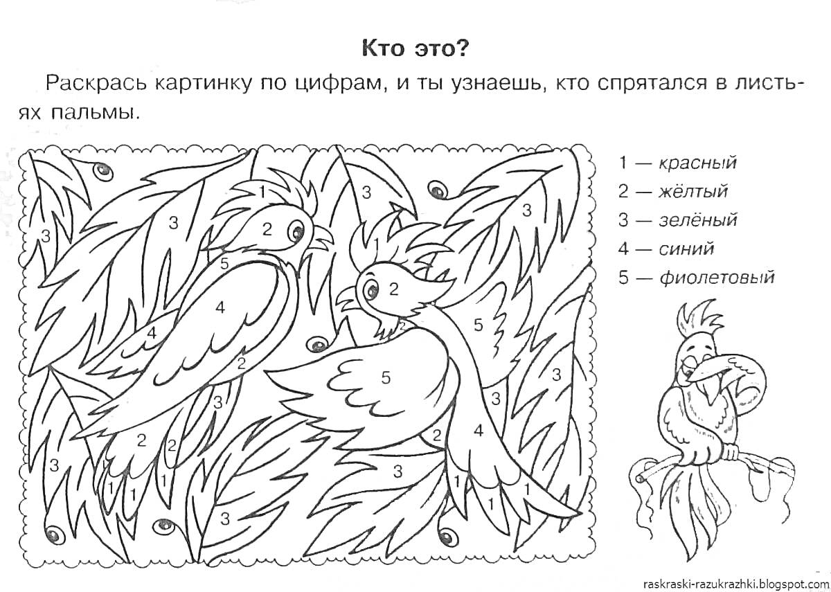 На раскраске изображено: Попугаи, Пальмовые листья, Краски