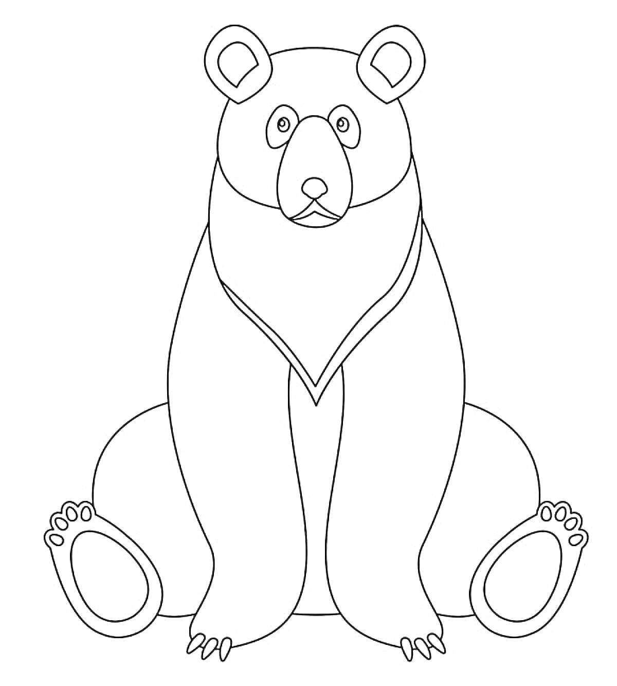 На раскраске изображено: Медведь, Сидящий медведь, Для детей, 3-4 года