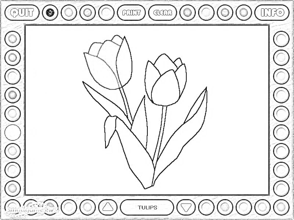 На раскраске изображено: Тюльпаны, Цветы, Листья, Онлайн игра, Стебель