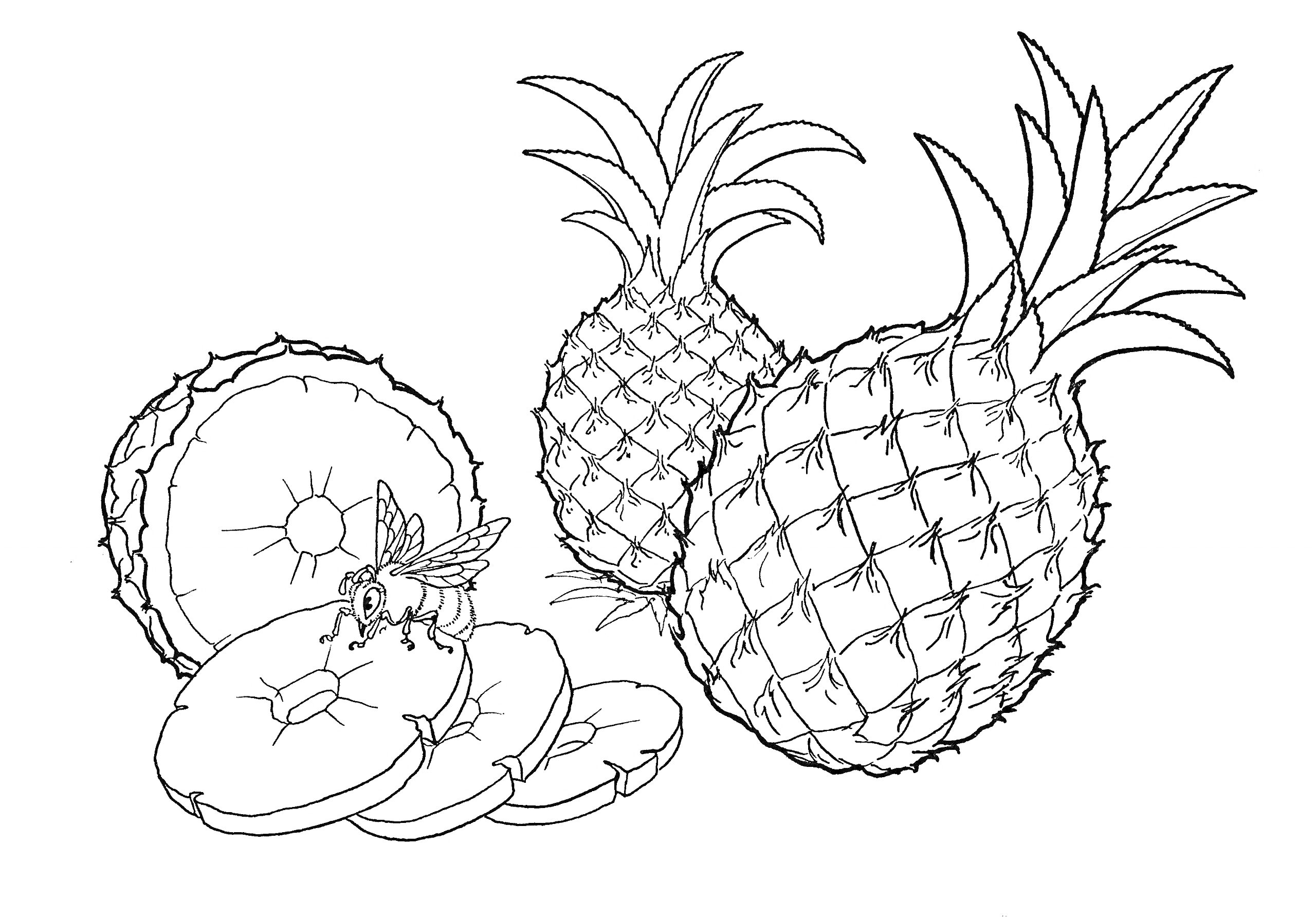 Раскраска Ананасы и пчела на ананасовых кольцах