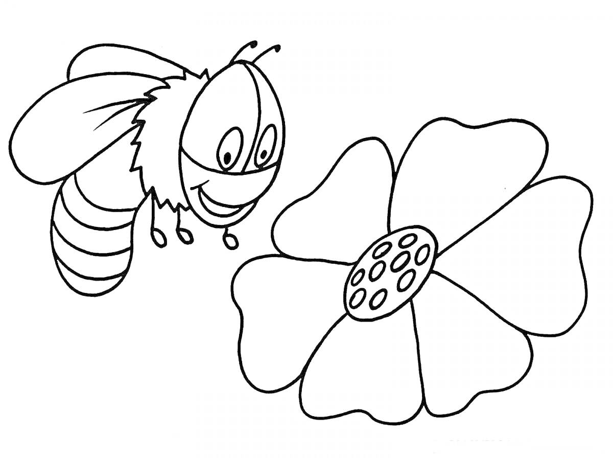 Раскраска Пчела рядом с цветком