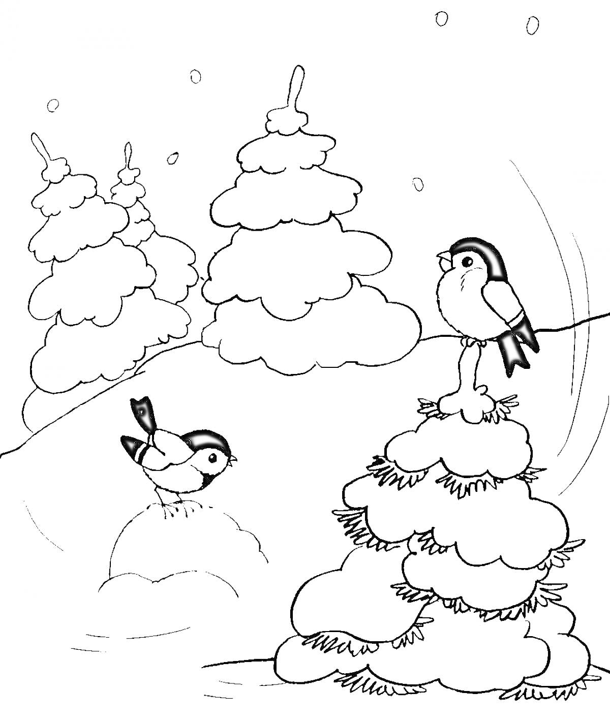 Раскраска Птицы в зимнем лесу на заснеженных ёлках