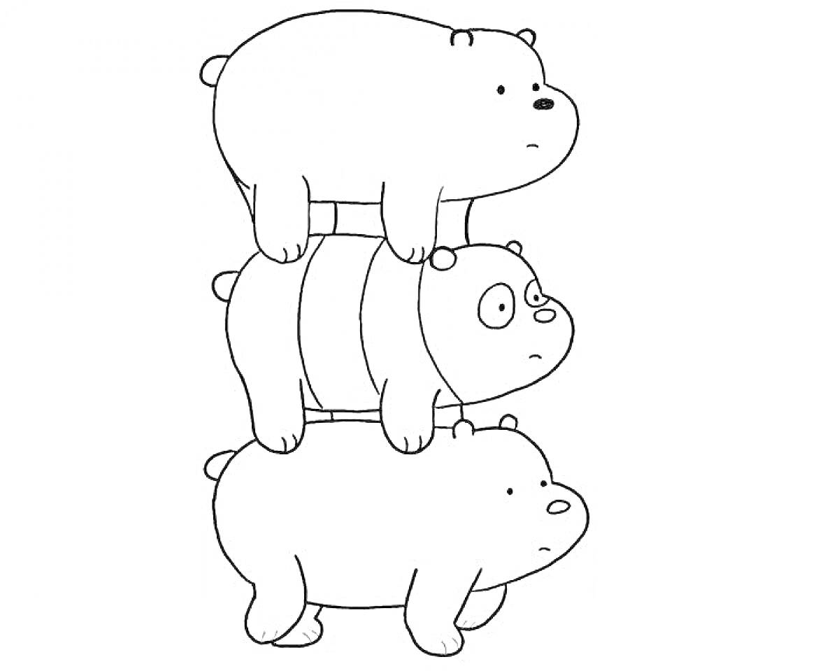 На раскраске изображено: Три медведя, Животные