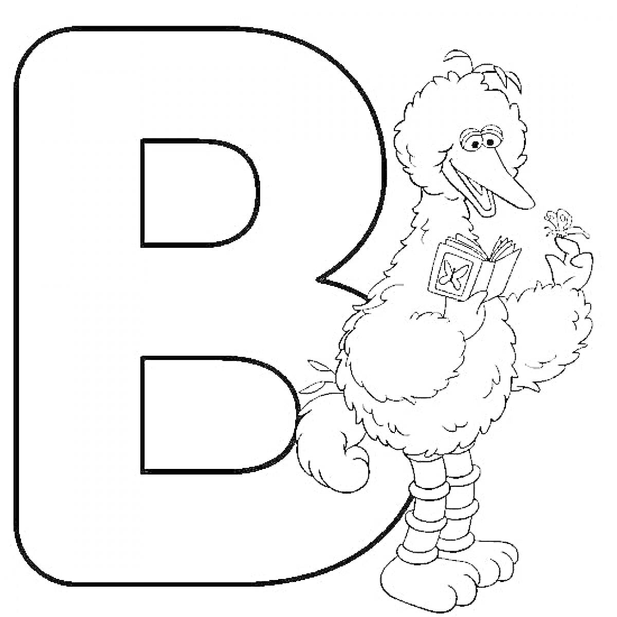 Раскраска Большая буква В, птица с книгой и цветком