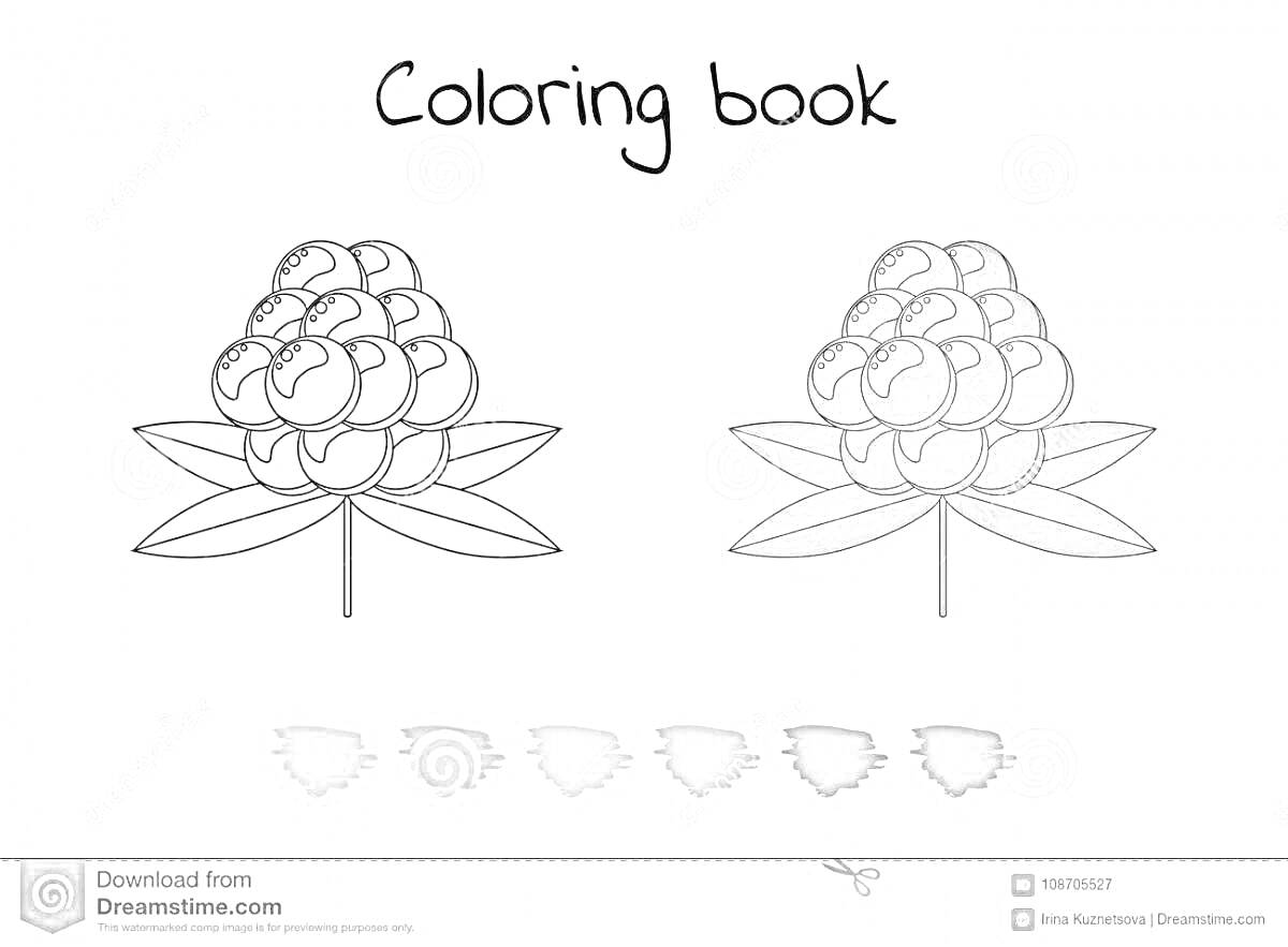 Раскраска морошка, ягоды морошки, листики морошки, контур для раскраски, вариант раскрашенной морошки, палитра цветов