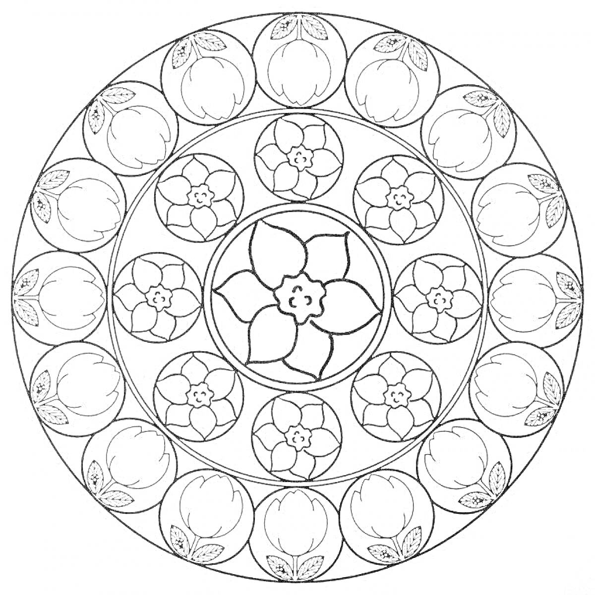 Раскраска круглый узор с цветами и листьями в окружности