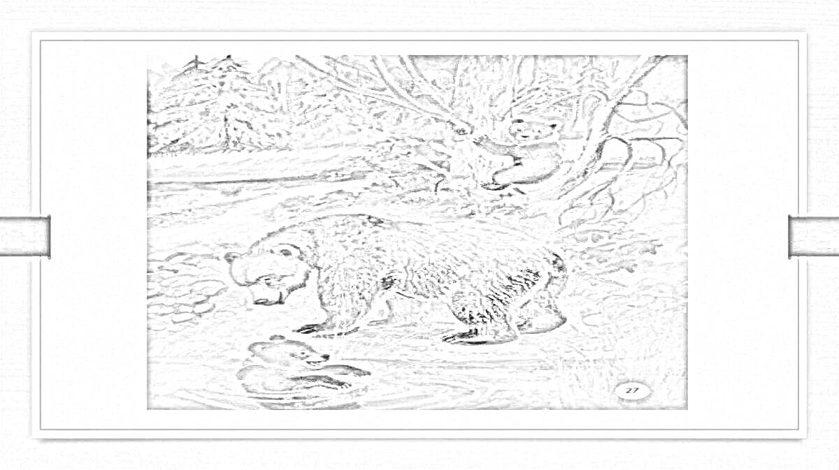 На раскраске изображено: Медведь, Река, Лес, Природа, Рыбалка, Животные