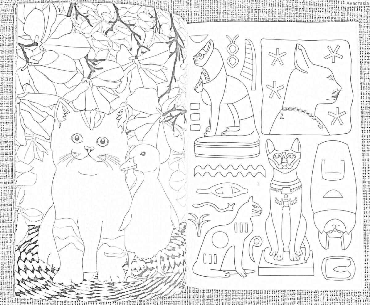 На раскраске изображено: Кот, Утка, Цветы, Жуки, Символы, Антистресс, Творчество