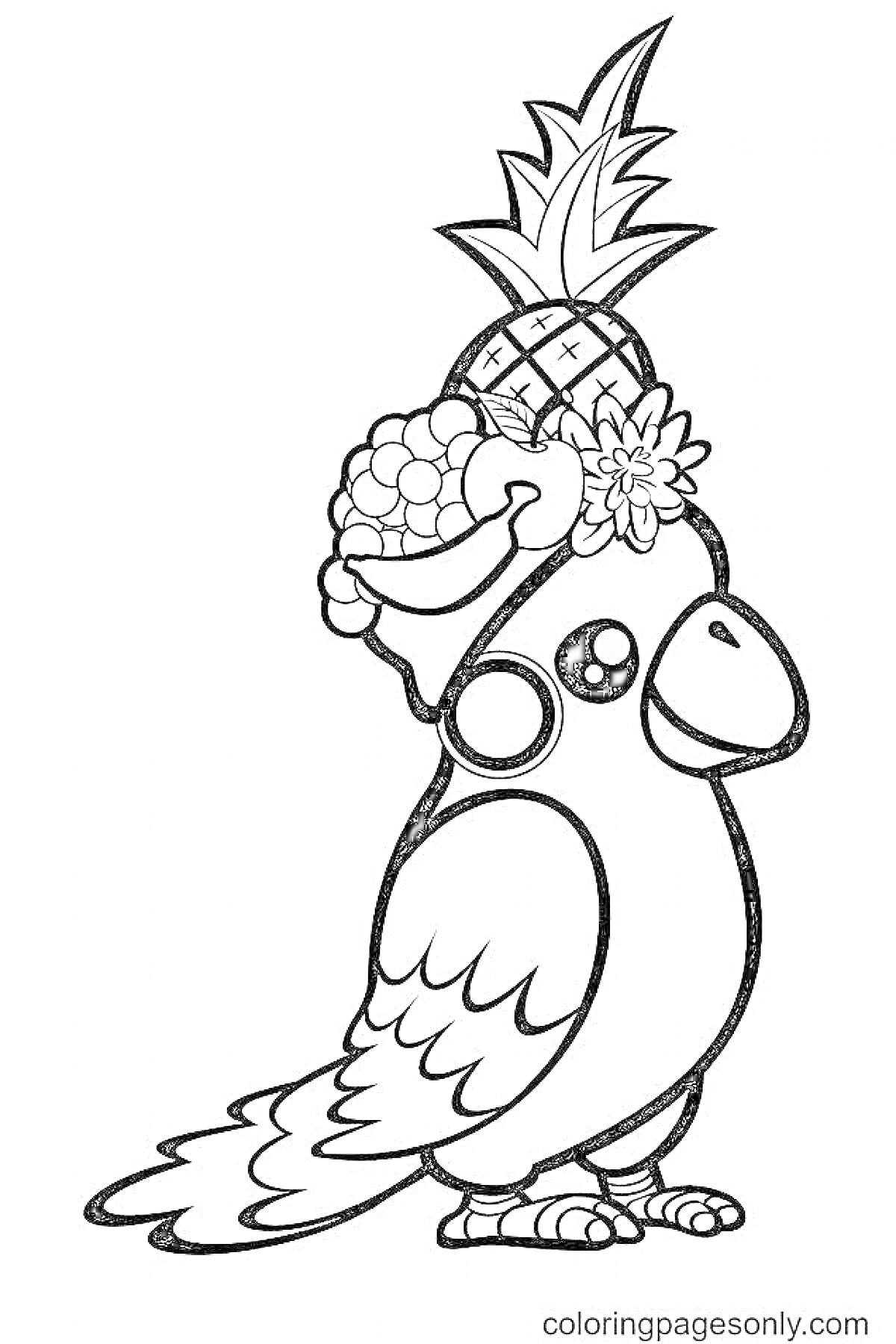 Раскраска попугай с фруктовой шляпой (ананас, виноград, цветы)