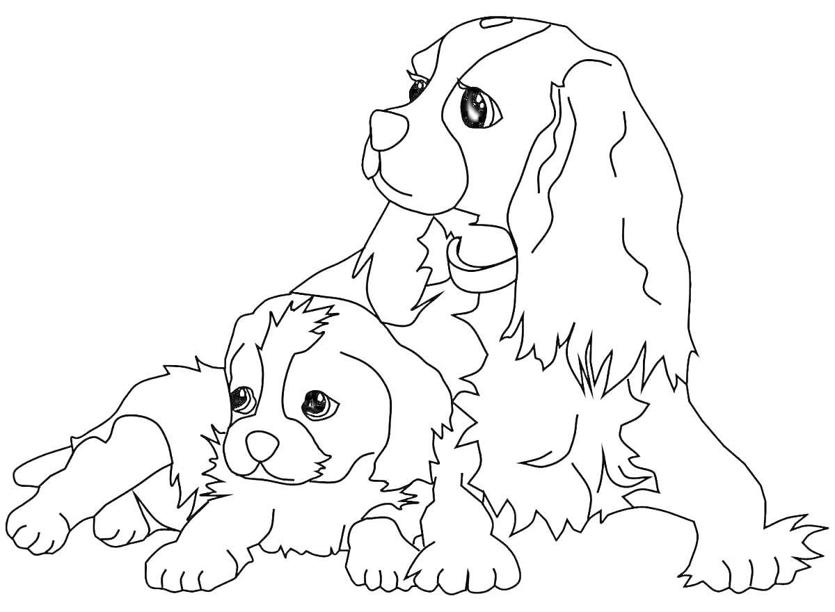 Раскраска Два лежащих друг рядом с другом щенка