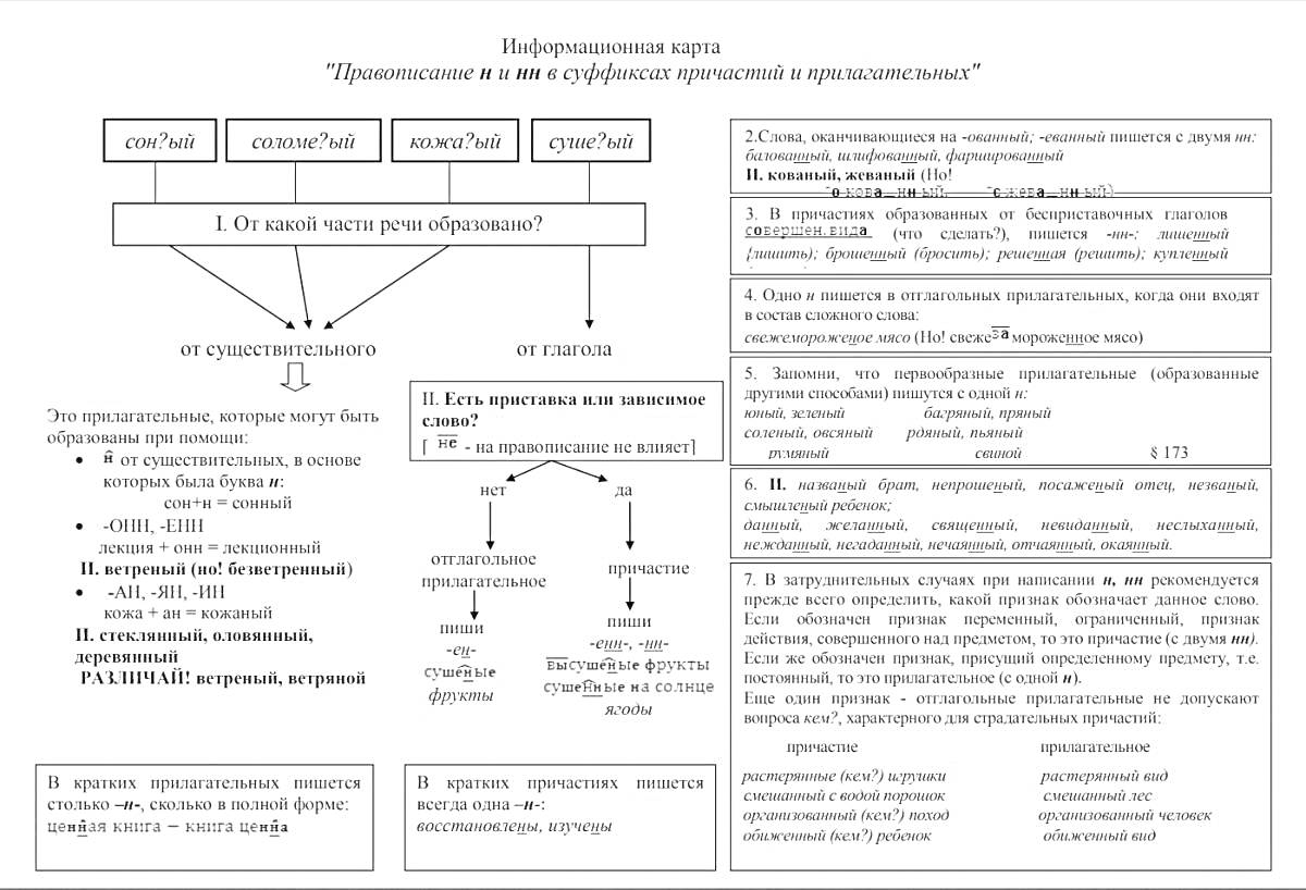 На раскраске изображено: НН, Прилагательные, Причастия, Орфография, Суффиксы, Правила, Русский язык, Лошадь