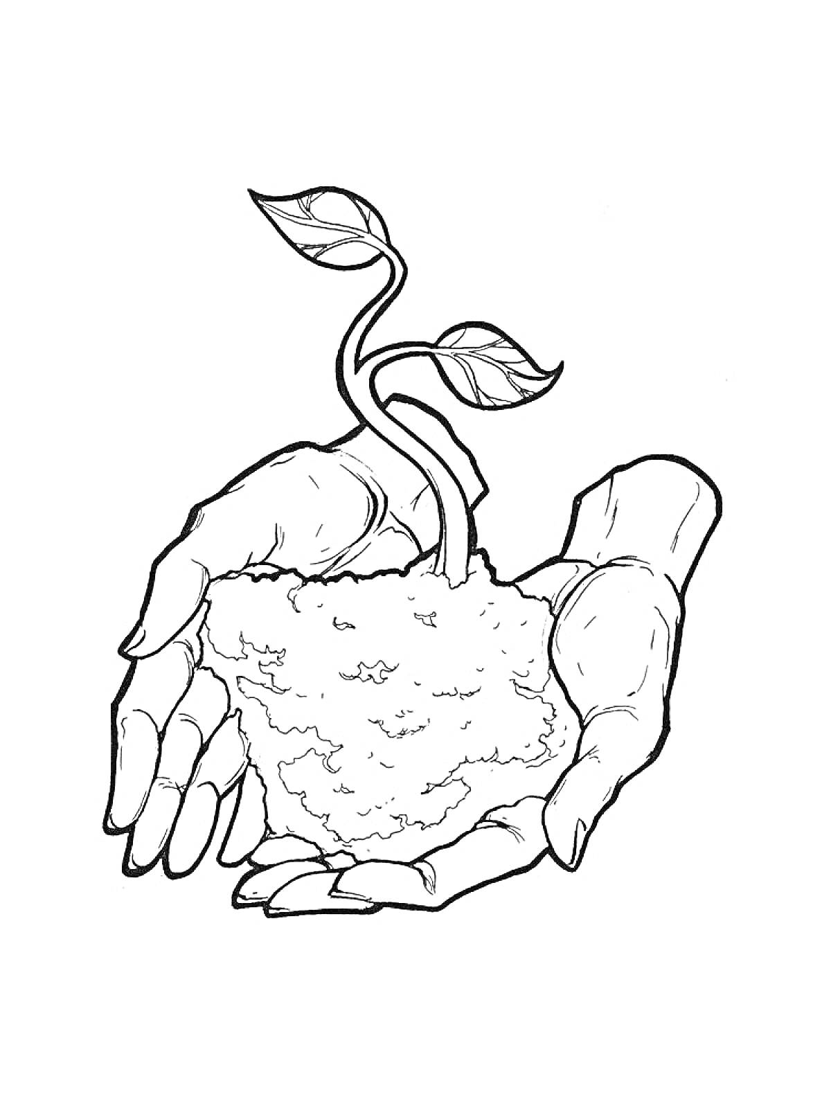 Раскраска Рука, держащая росток с листьями и ком земли