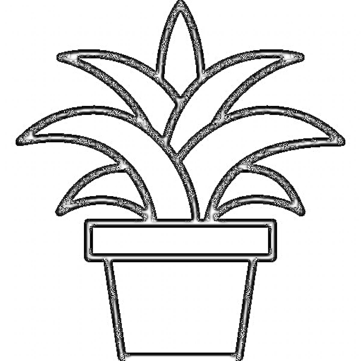Раскраска Комнатное растение в цветочном горшке с широкими листьями