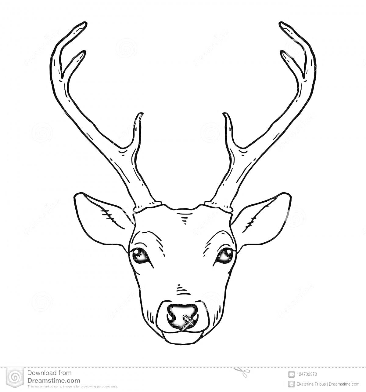 На раскраске изображено: Олень, Голова, Рога, Природа