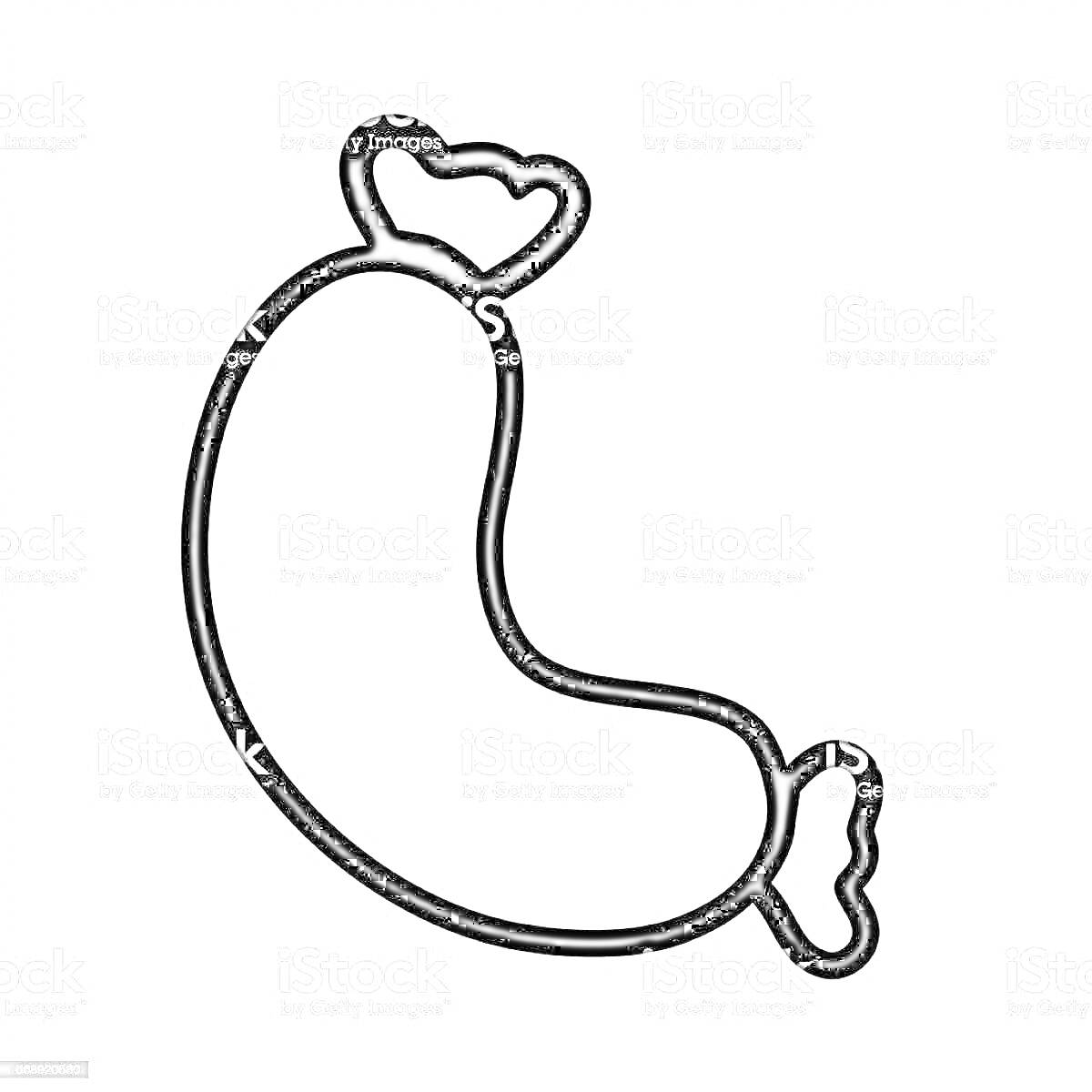 На раскраске изображено: Еда, Колбаса, Мясо