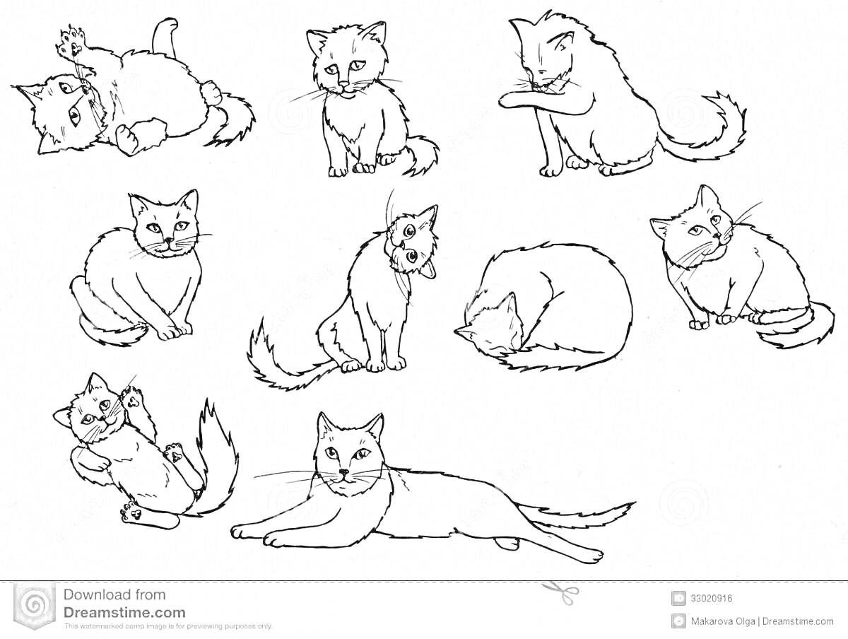 Раскраска Много поз котиков на одном листе: играют, сидят, лежат, вылизываются, спят
