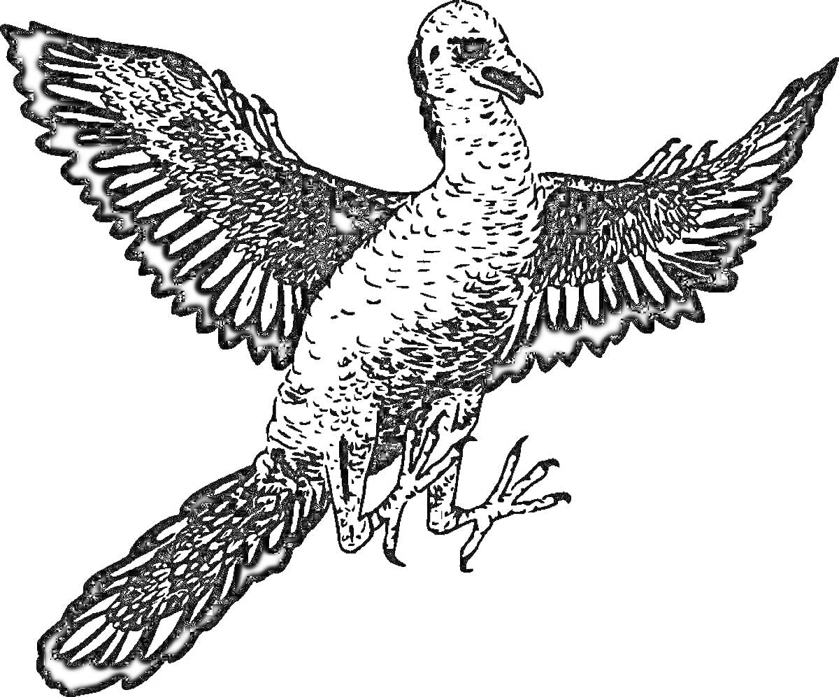 Раскраска Археоптерикс с распростёртыми крыльями в полете