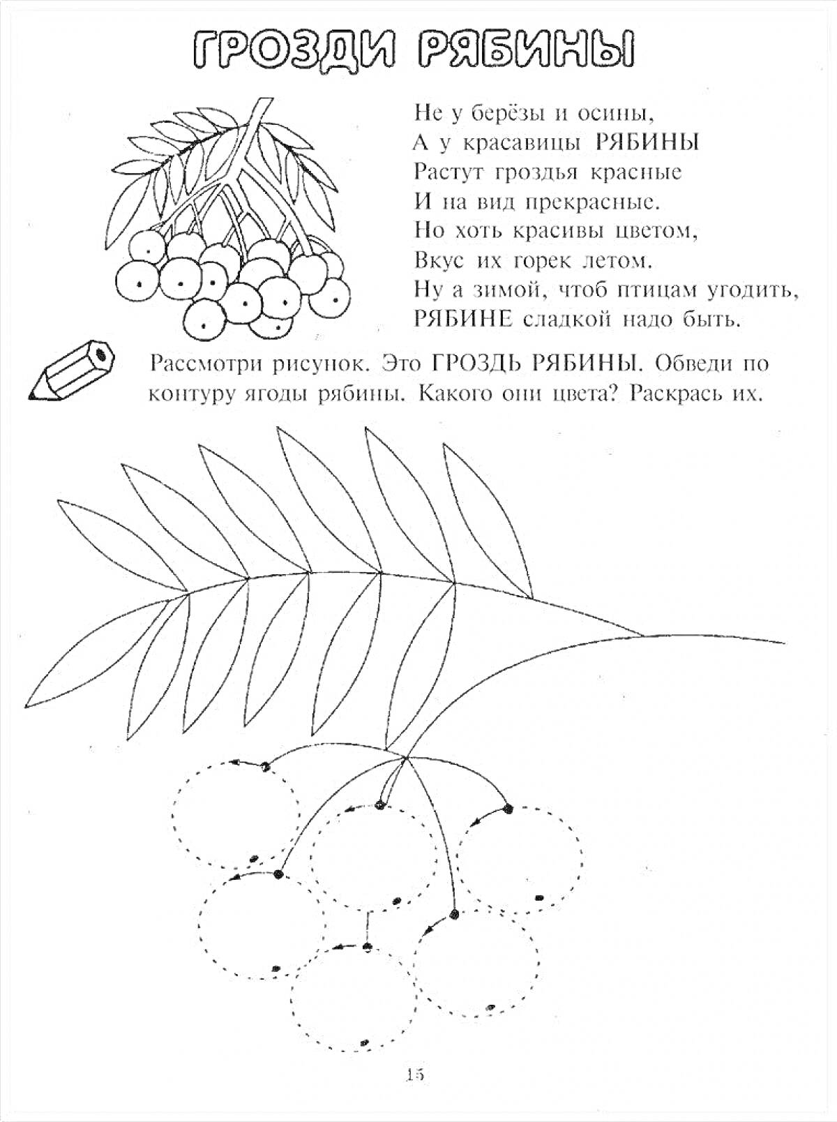 На раскраске изображено: Рябина, Ягоды, Листья, Ветка, Стихотворение, Учебное задание
