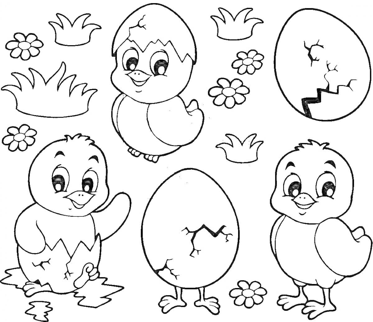 На раскраске изображено: Цветы, Птенец, Яйца, Трава, Цыплята