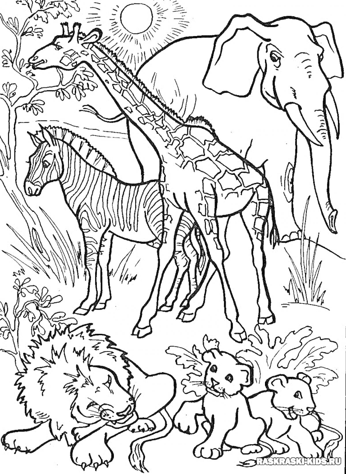 Раскраска Жирафы, лев, слон, зебра и растительность на фоне солнца