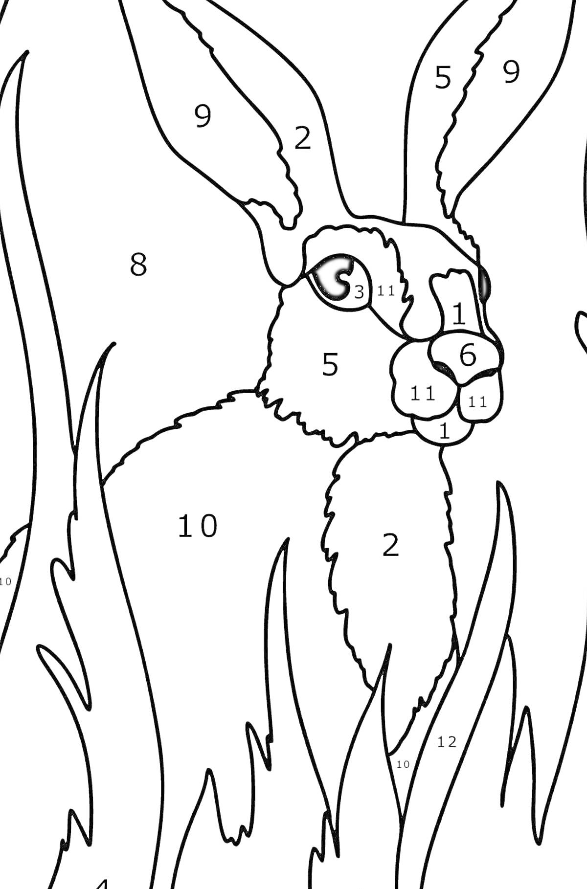 Раскраска Заец в траве по номерам