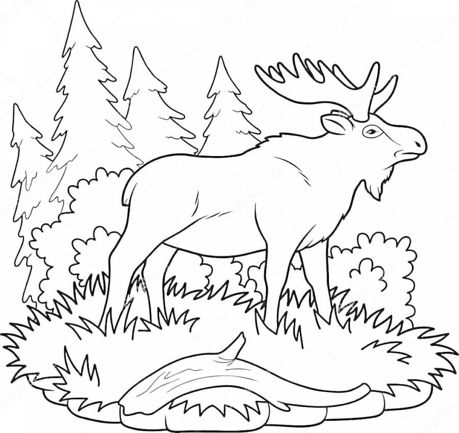 Рисунок лось в лесу