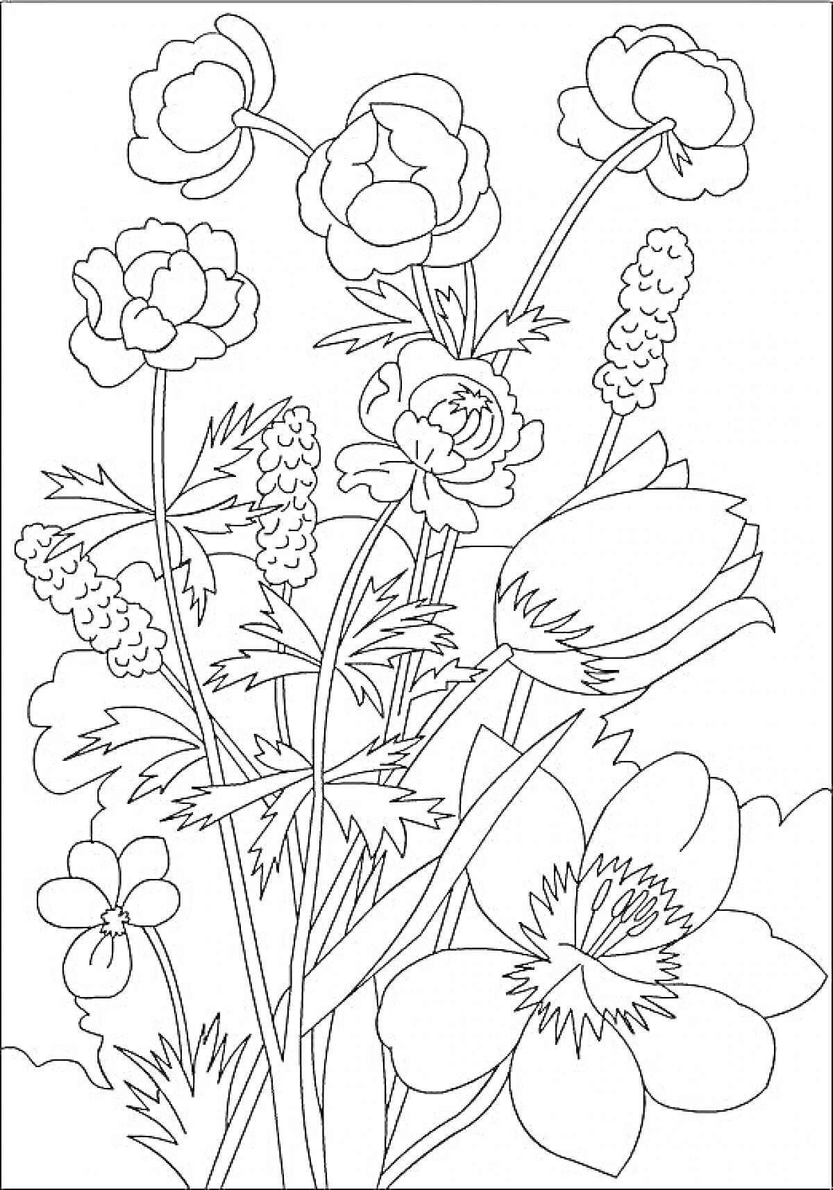 Раскраска Цветы и бутоны различных видов на стеблях с листьями, включая большие и маленькие цветы