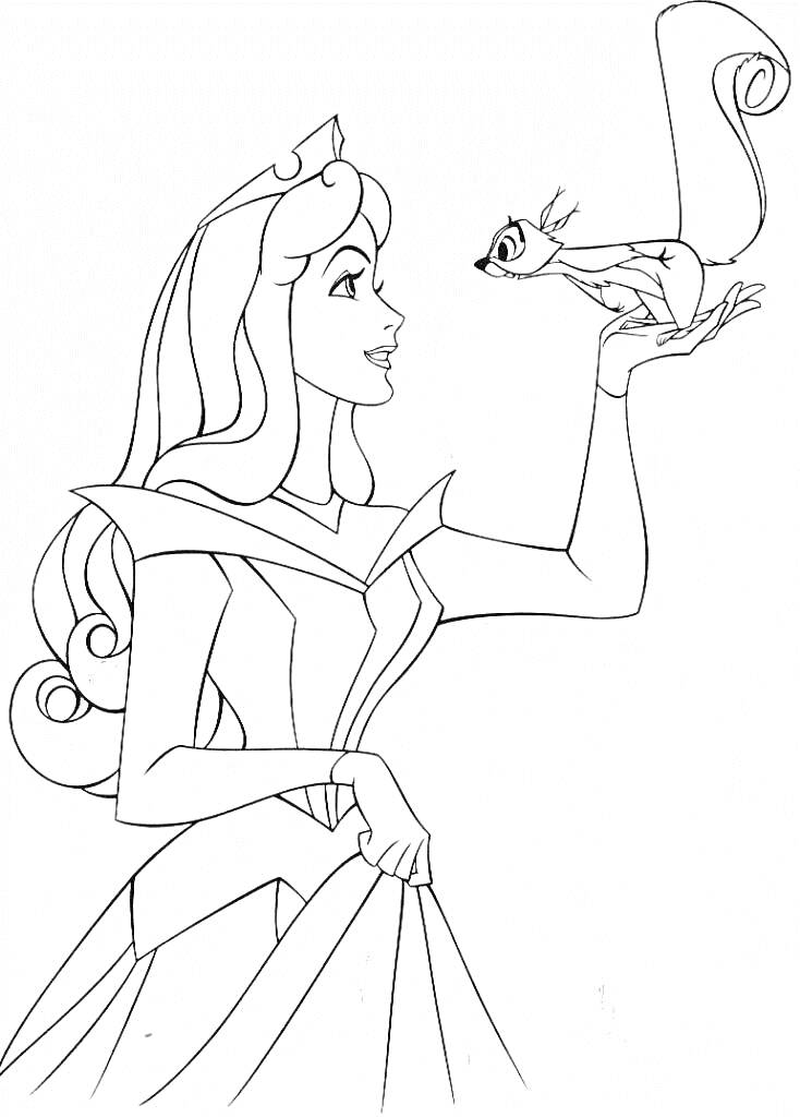 На раскраске изображено: Принцесса Аврора, Белка, Корона, Платье, Персонаж