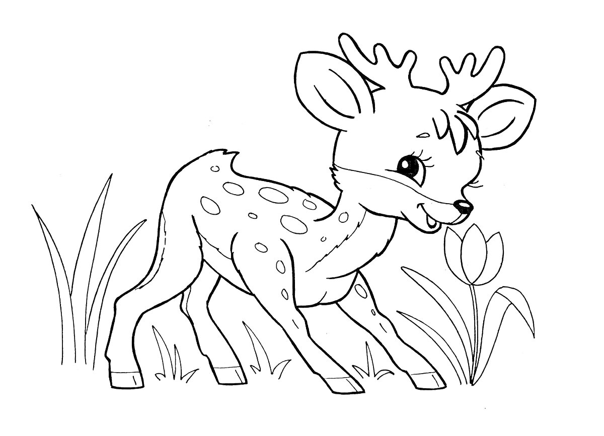 Раскраска Детеныш оленя с цветком и травой