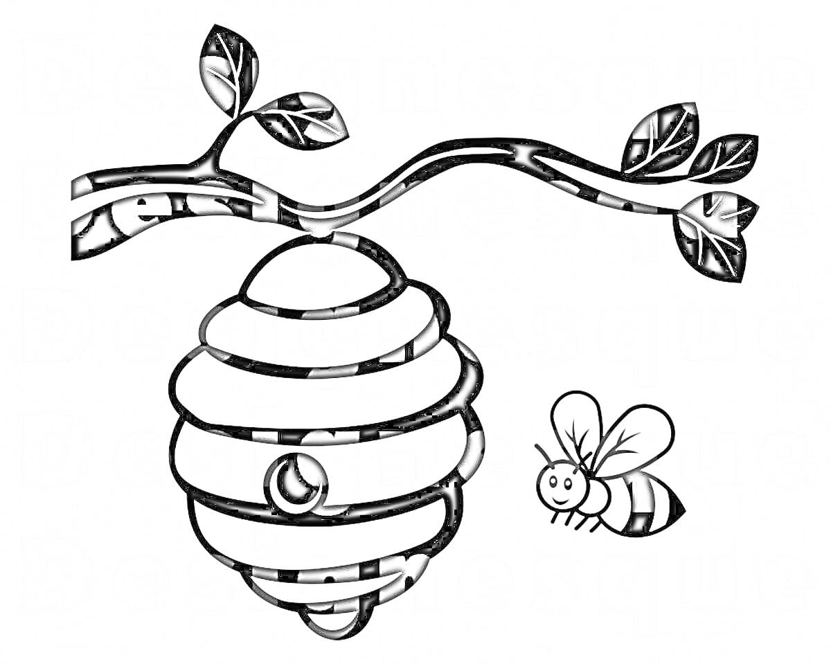 Раскраска Ветвь дерева с листьями и улей с пчелой