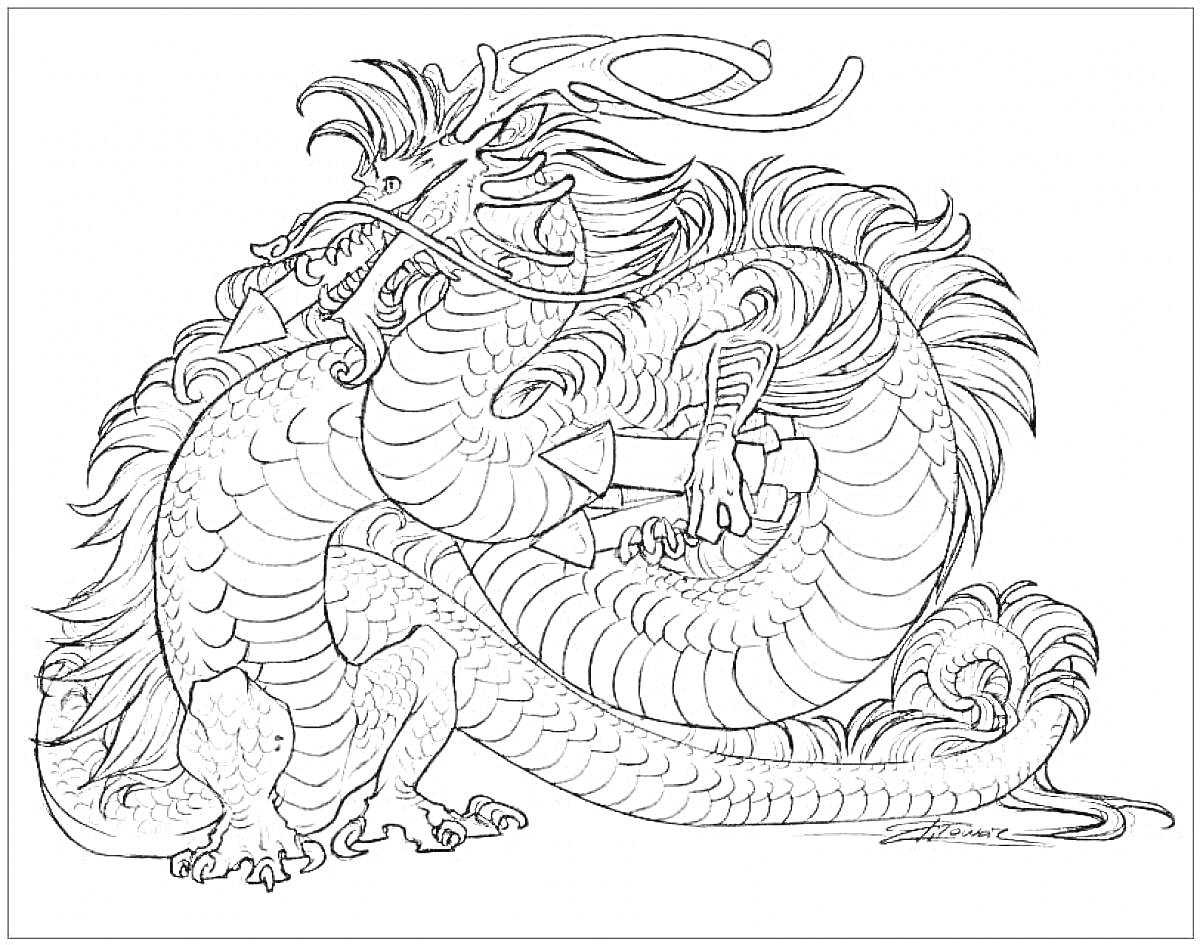 На раскраске изображено: Китайский дракон, Мифология, Восточная культура, Усы, Грива, Чешуя, Хвост, Животные