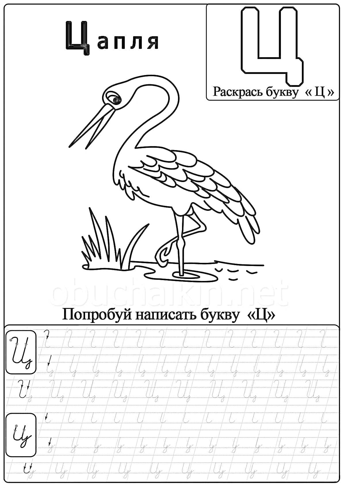 Раскраска Цапля. Раскрась букву «Ц». Попробуй написать букву «Ц»