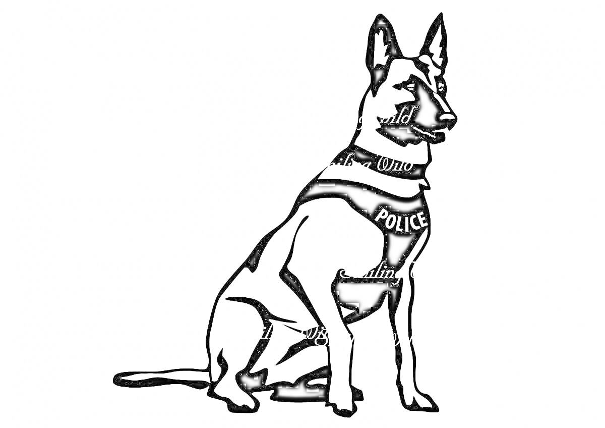 На раскраске изображено: Жилет, Полиция, Собака, Безопасность, Защита