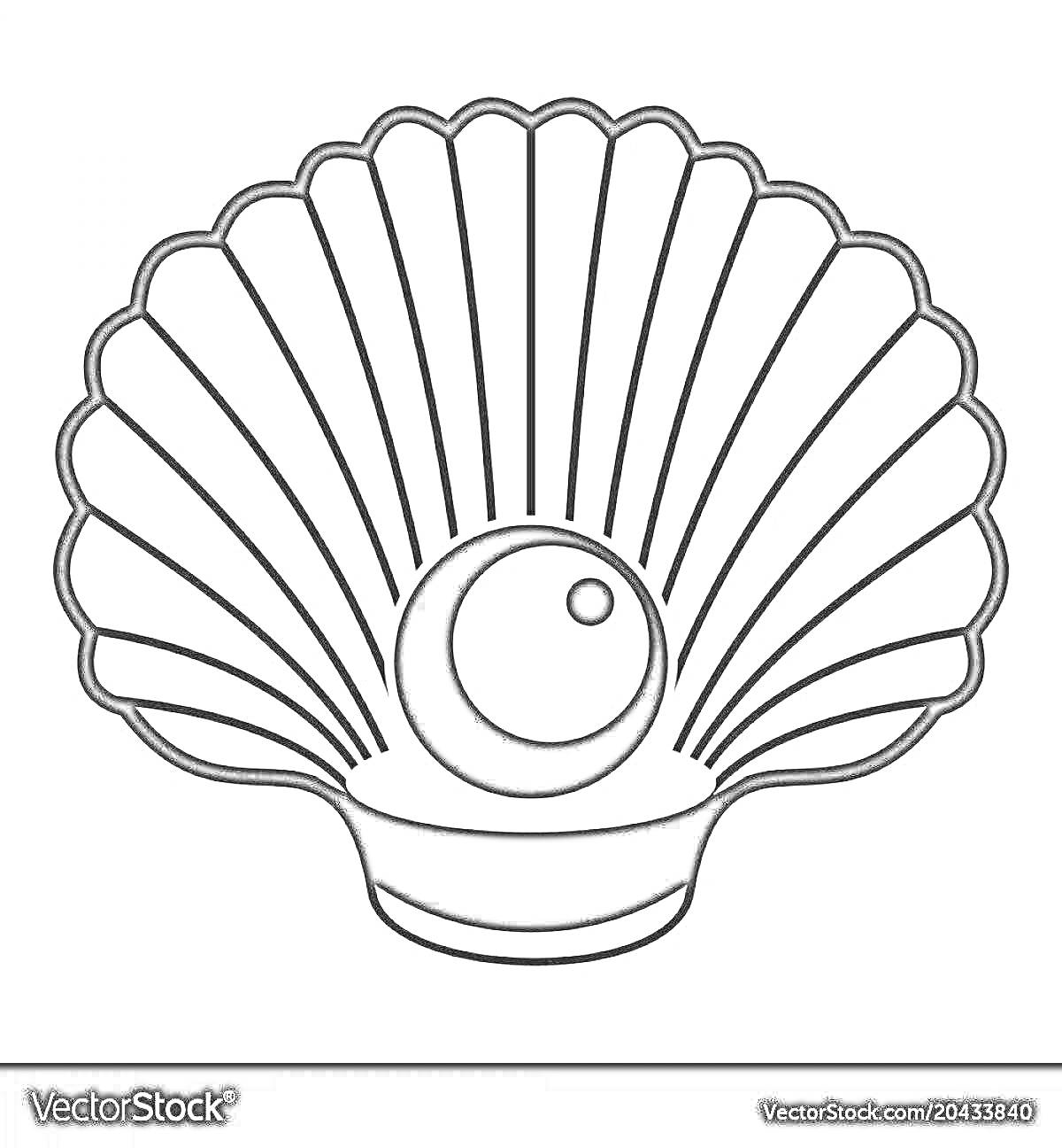 На раскраске изображено: Ракушка, Жемчужина, Морская раковина, Морская жизнь, Контурные рисунки