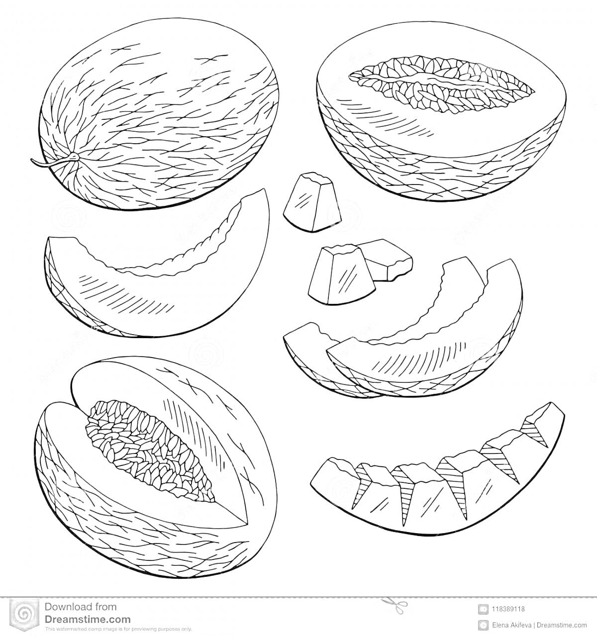 Раскраска Целая дыня, половинки дыни, кусочки дыни, ломтики дыни