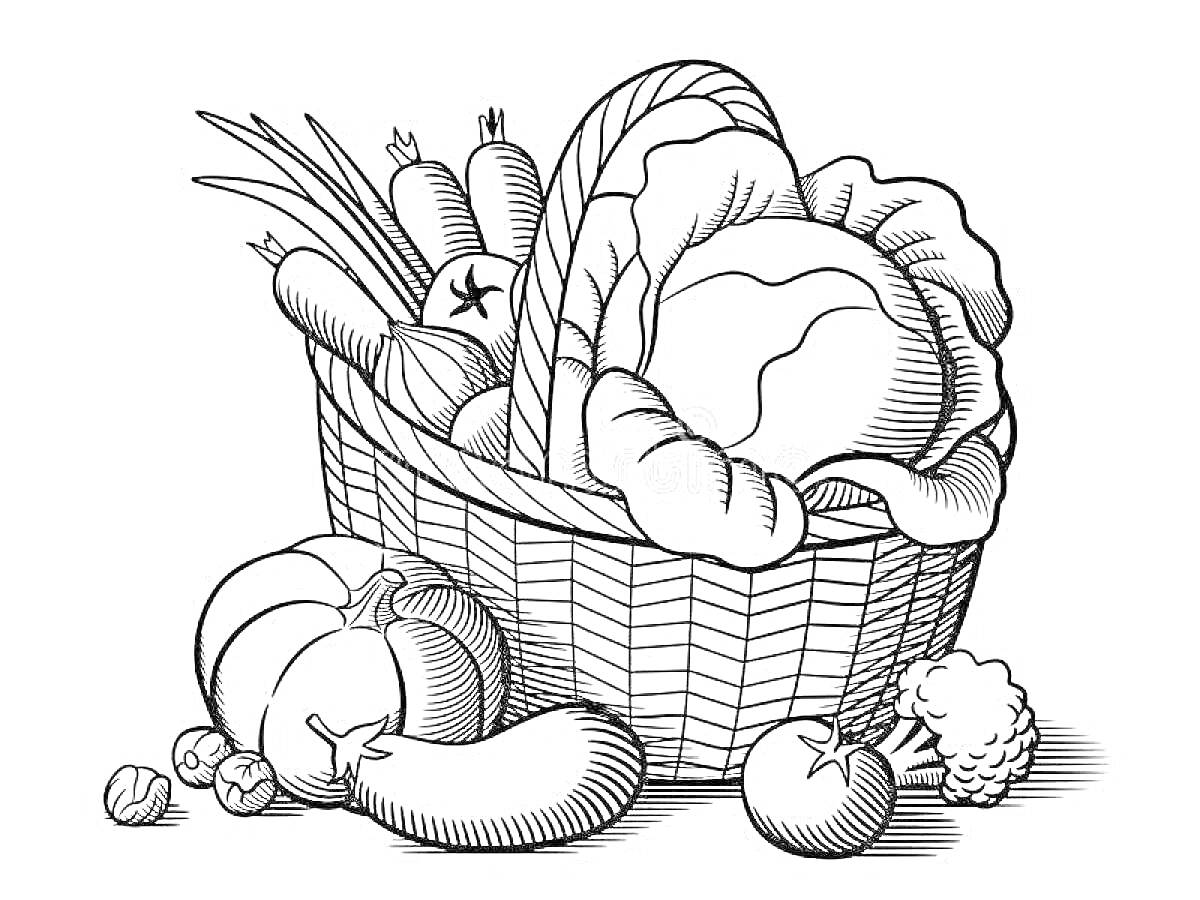 На раскраске изображено: Корзина, Овощи, Капуста, Морковь, Помидор, Кабачок, Лук, Картофель, Цветная капуста, Горох