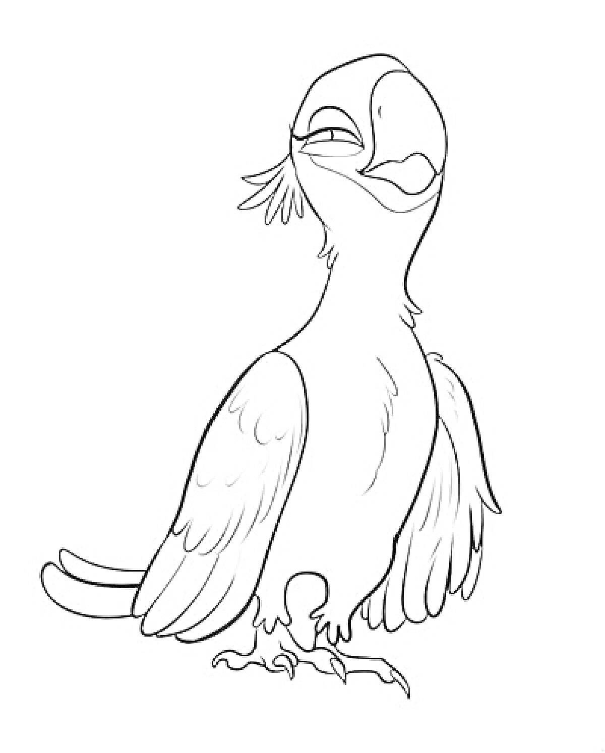 Попугай из Рио 2, стоящий на земле с поднятым клювом и расправленными крыльями