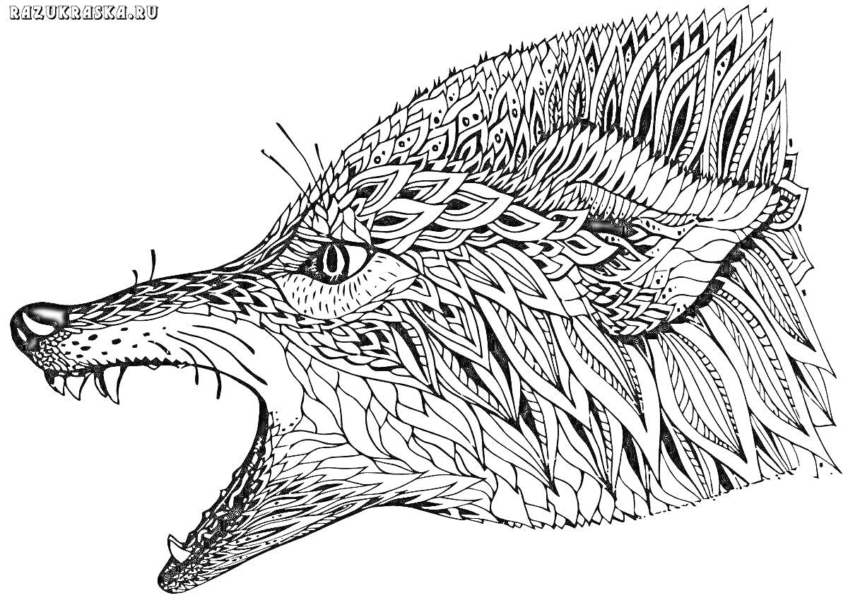 Раскраска Закричавшая голова волка в стиле антистресс с узорами