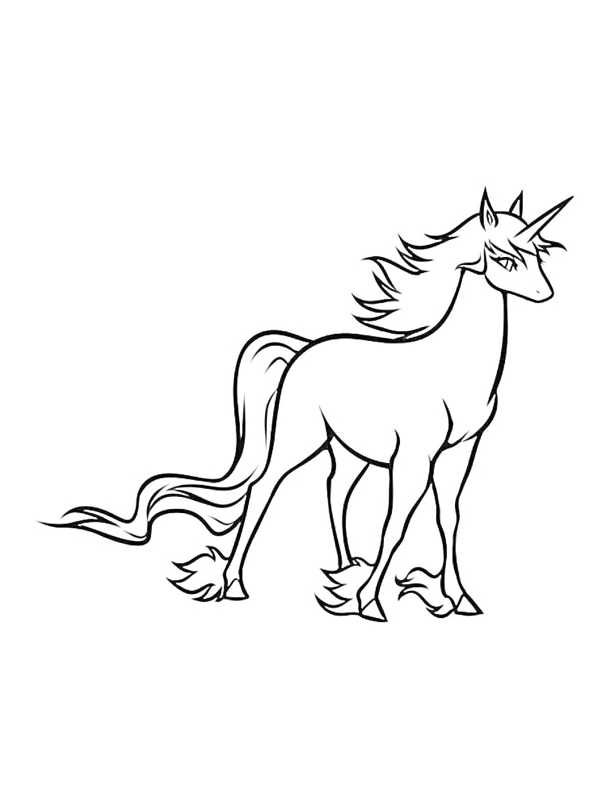 Раскраска Единорог с развевающейся гривой и хвостом