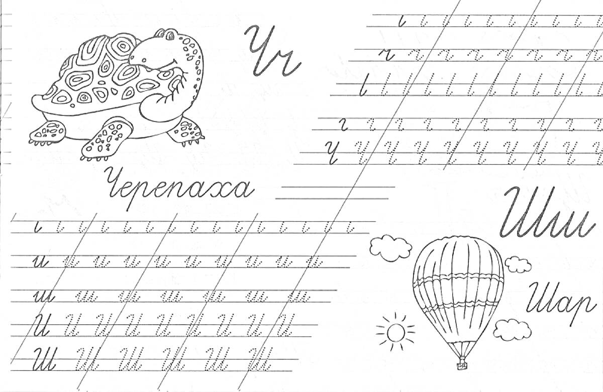 Раскраска Черепаха, шар, прописи для букв Уу и Шш
